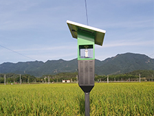 瑞丰智能风吸式杀虫灯走进佛山农业科学研究所