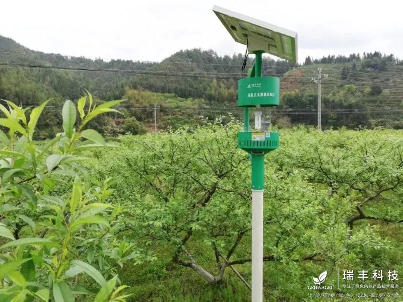 瑞丰智能杀虫灯