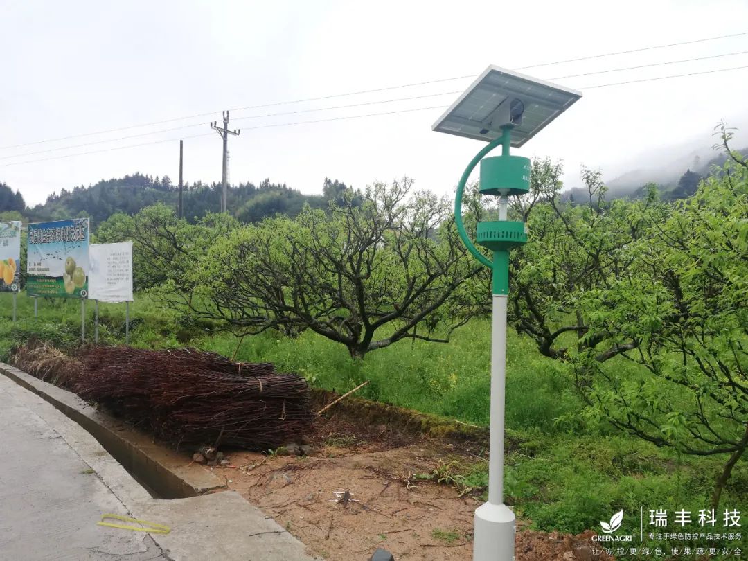 瑞丰智能杀虫灯