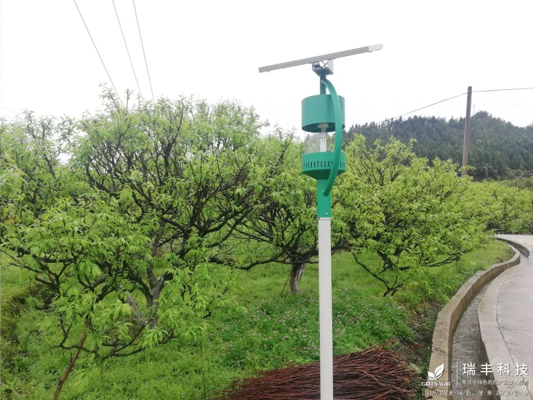 瑞丰智能杀虫灯