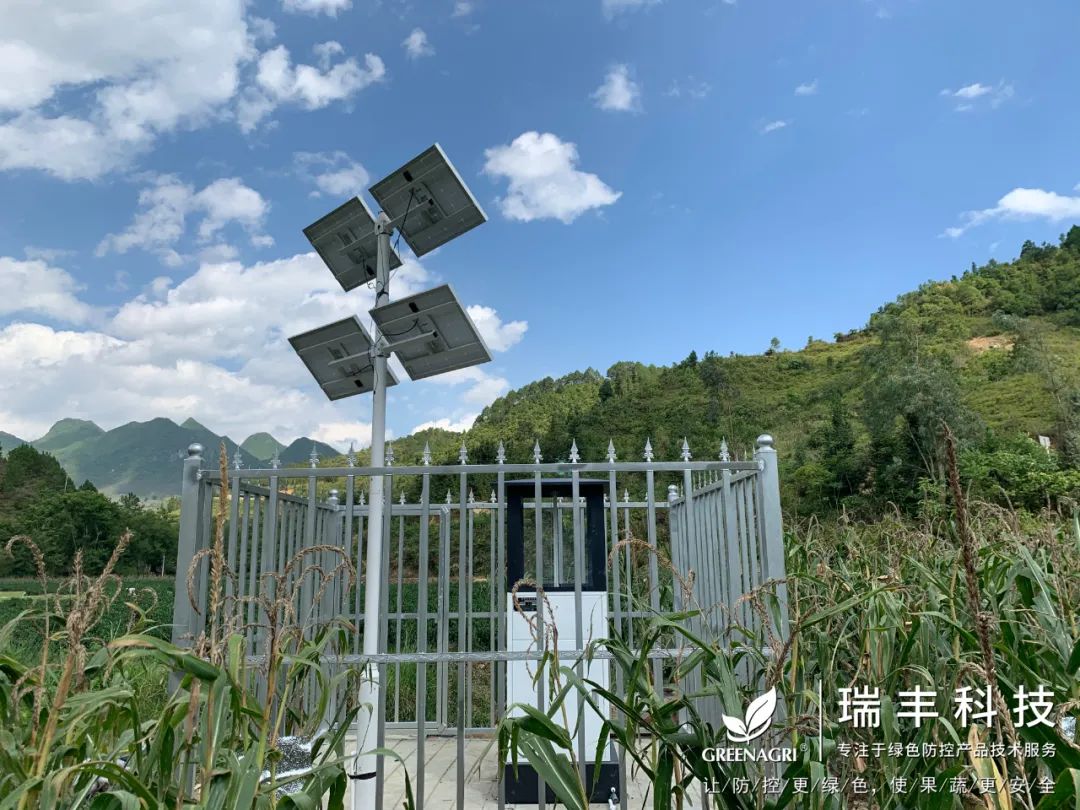 瑞丰自动虫情测报灯