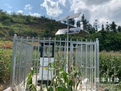 云南砚山利用瑞丰自动虫情测报灯监测玉米害虫