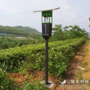 瑞丰智能风吸式杀虫灯走进江门茶园防控虫害