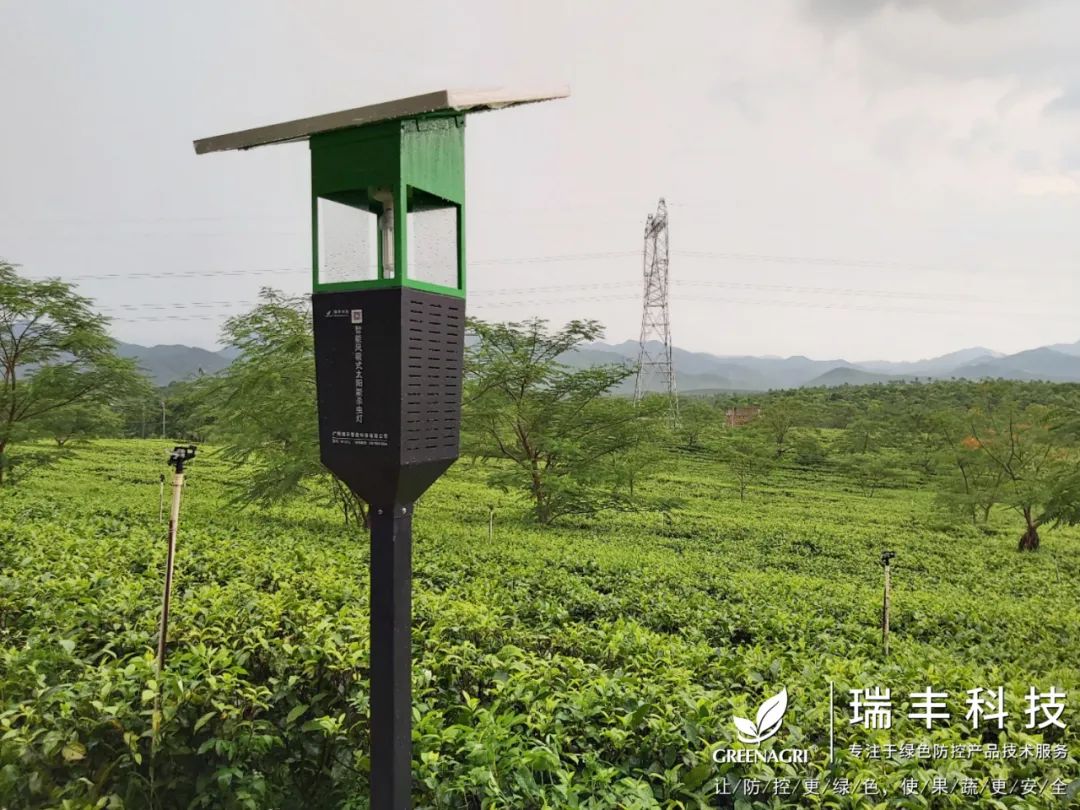 瑞丰智能风吸式杀虫灯