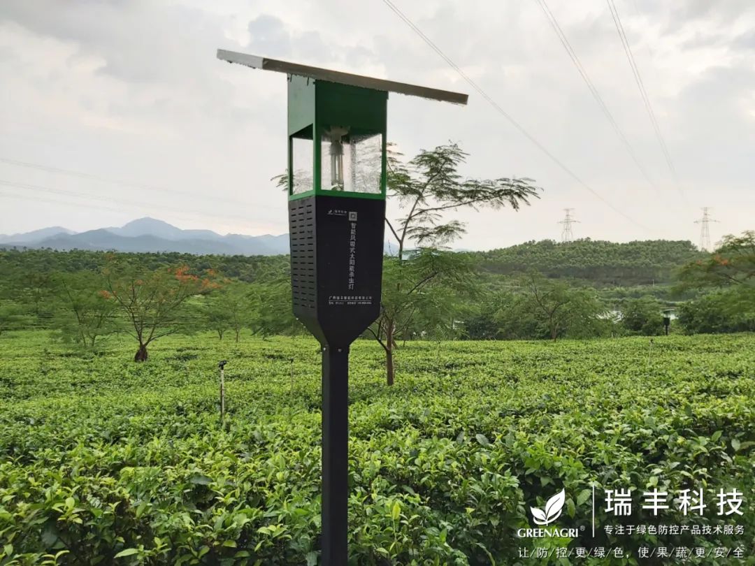 瑞丰智能风吸式杀虫灯