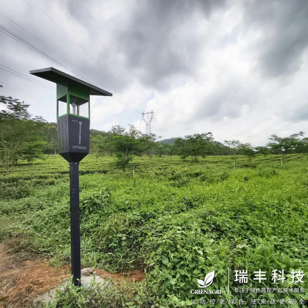 瑞丰智能风吸式杀虫灯