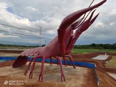 瑞丰智能设备“与虾为伍”，共助南雄水稻优质